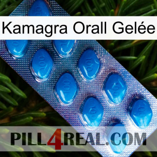 Kamagra Orall Gelée viagra1